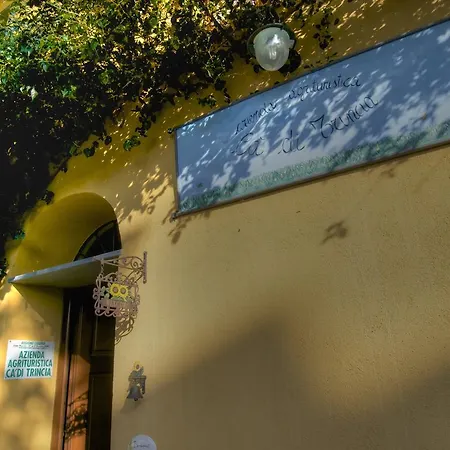 Agriturismo Ca' Di Trincia-2